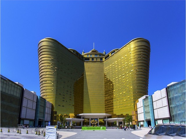 宝山区野生灰树花供应